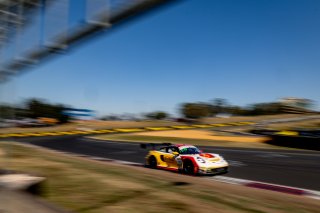 12h Bathurst 2025 -  Meguiar&rsquo;s Bathurst 12 Hour - Intercontinental GT Challenge Round 1 - Foto: Gruppe C Photography; #91 Porsche 911 GT3 R (992), The Bend: Yasser Shahin, Sam Shahin, Laurin Heinrich, Morris Schuring
 | Gruppe C Photography