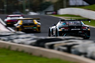 12h Bathurst 2026 -  Meguiar&rsquo;s Bathurst 12 Hour - Intercontinental GT Challenge Round 1 - Foto: Gruppe C Photography; #6 Mercedes-AMG GT3 EVO, Mercedes-AMG Team Tigani Motorsport: Jayden Ojeda, Fabian Schiller, Philip Ellis
 | Gruppe C Photography