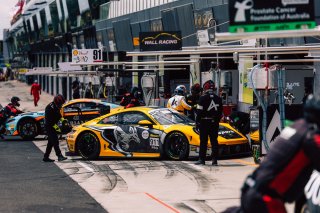12h Bathurst 2025 -  Meguiar&rsquo;s Bathurst 12 Hour - Intercontinental GT Challenge Round 1 - Foto: Gruppe C Photography; #911 Porsche 911 GT3 R (992), Absolute Racing: Matt Campbell, Ayhancan G&uuml;ven, Alessio Picariello
 | Gruppe C Photography